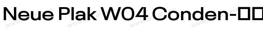 Neue Plak W04 Conden字体转换